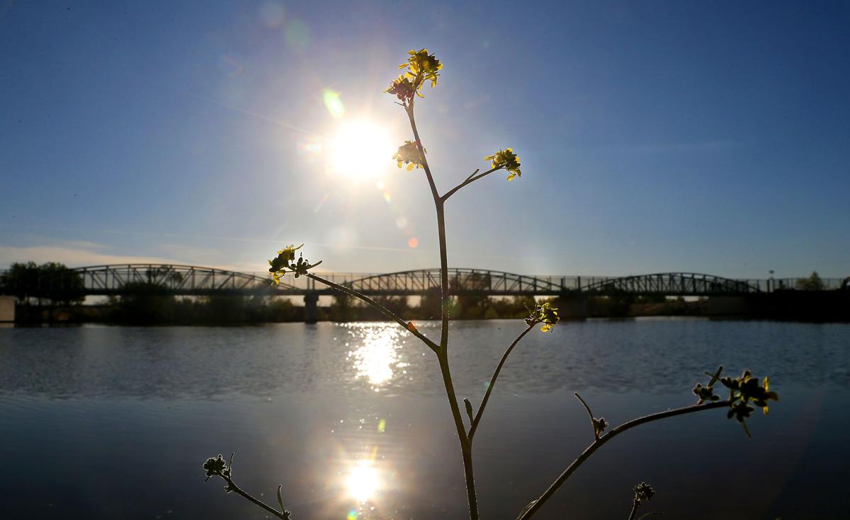 Water Brings Life Near The Park At Riverwalk Multimedia