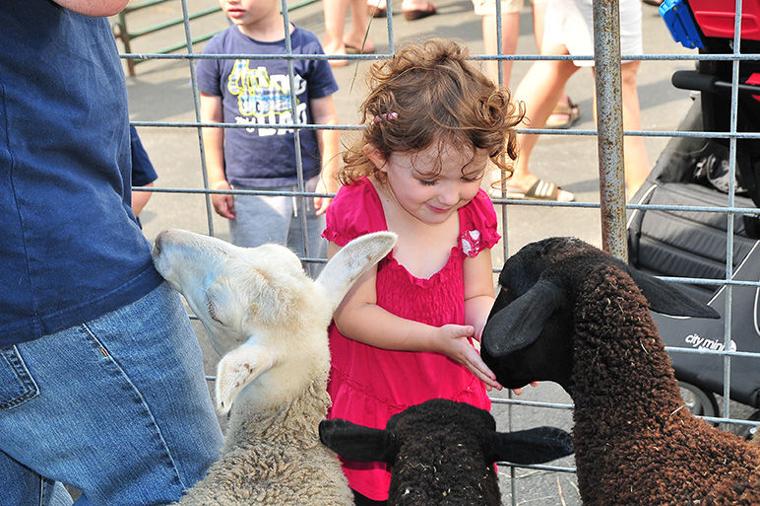 County Fair petting zoo The Beverly Review News