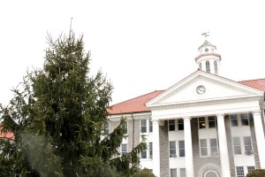 Tree Lighting Ceremony