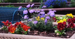 <p>The garden on the third-floor patio outside of ISAT was built in the summer of 2009, after a green-initiative speech from President Rose.  </p>
