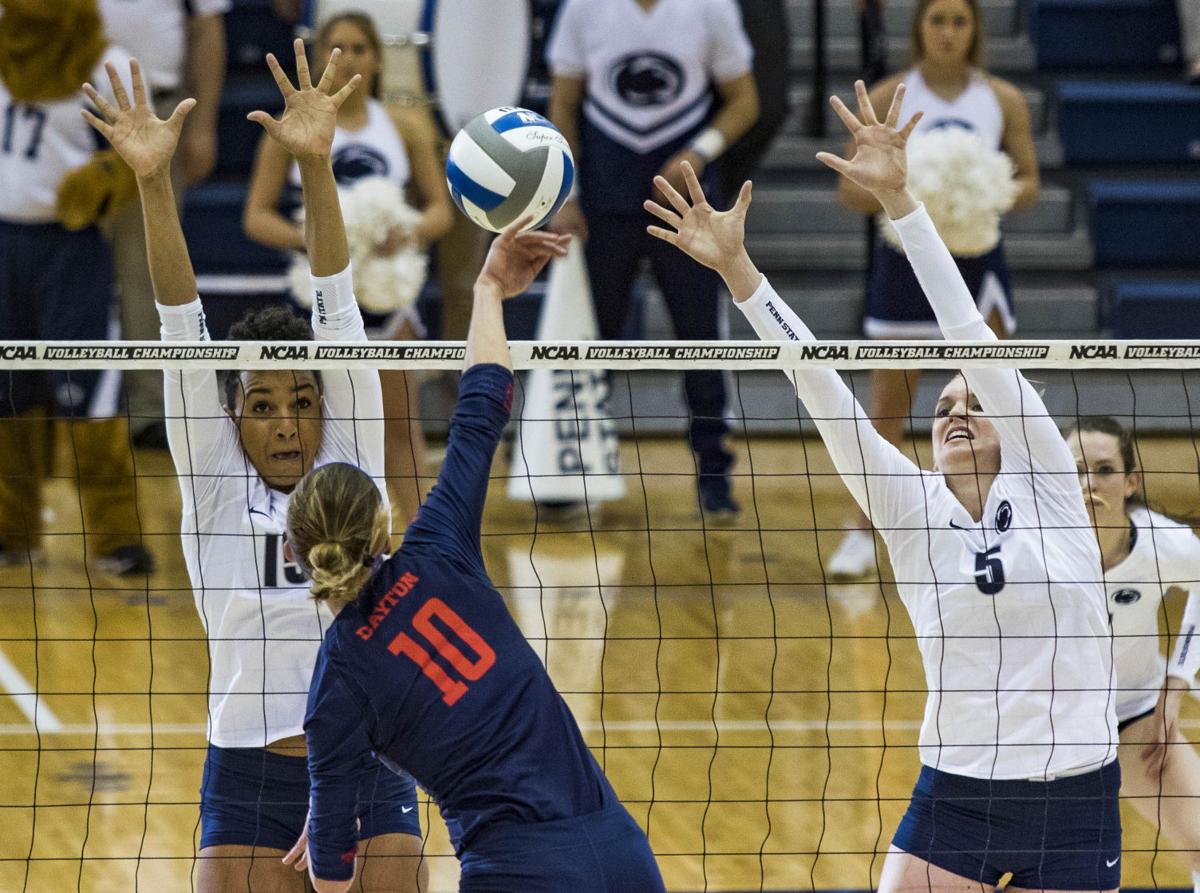 Personal statement for college volleyball vertical essaylibdiscounts