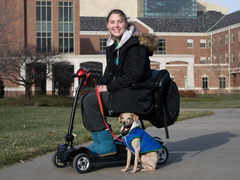brings puppies to owner student service brings more than to owner news dailynebraskan brings puppies to owner student service brings more than to owner news dailynebraskan