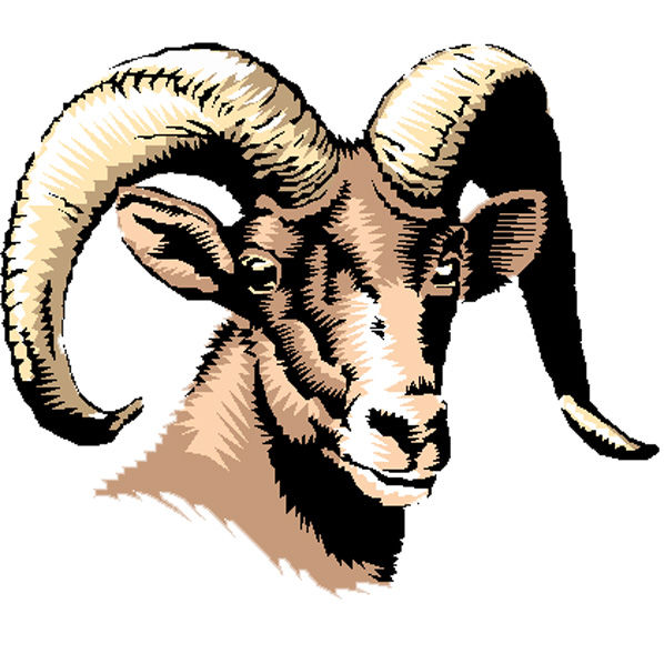 Headland tabs Raines as new head football coach High School Sports