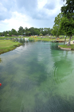 Vortex Spring started as diver’s dream