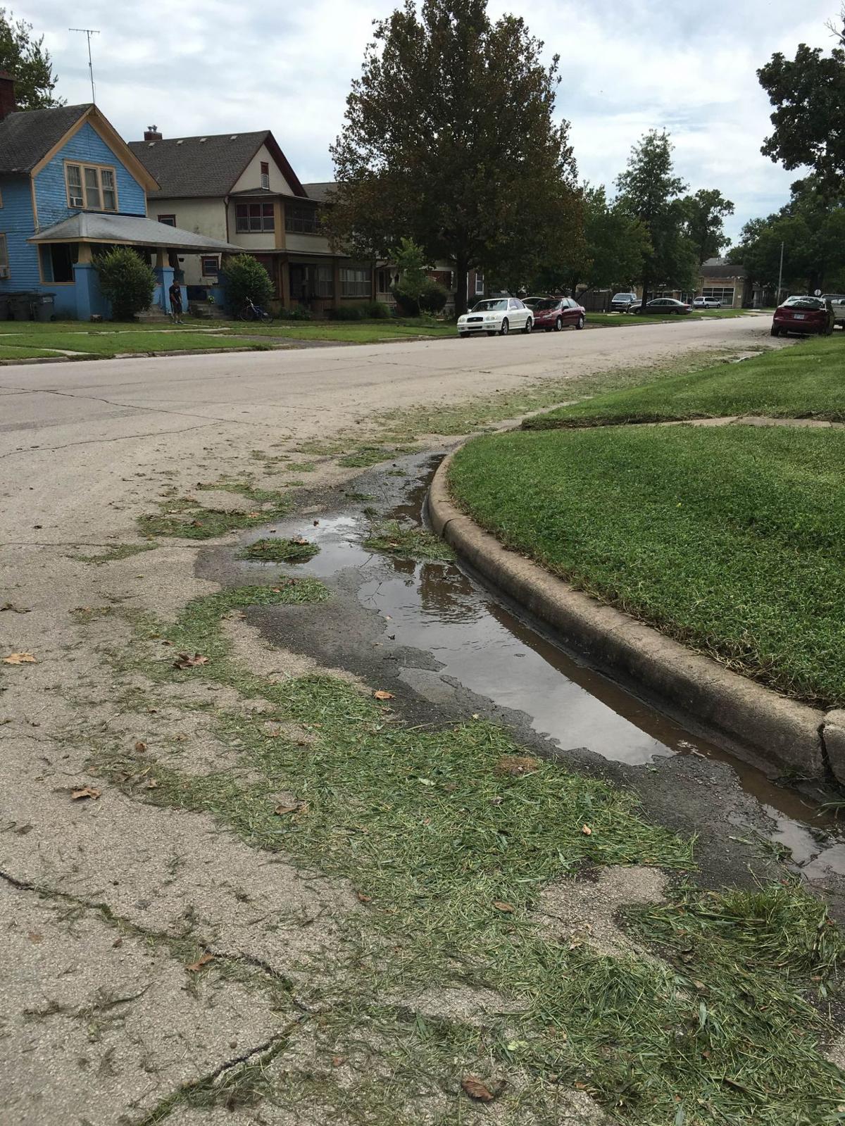 Because you asked Grass clippings litter streets Area News