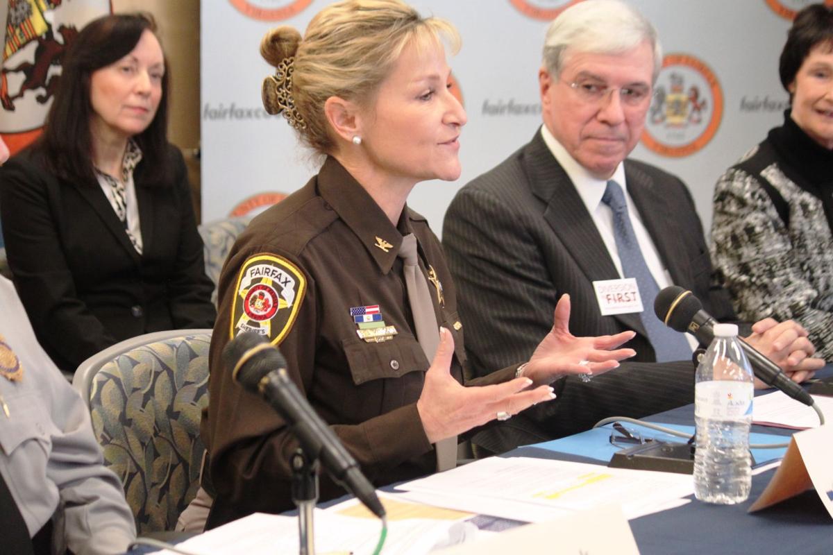 Diversion First mental health program off to ‘great start’, say county officials