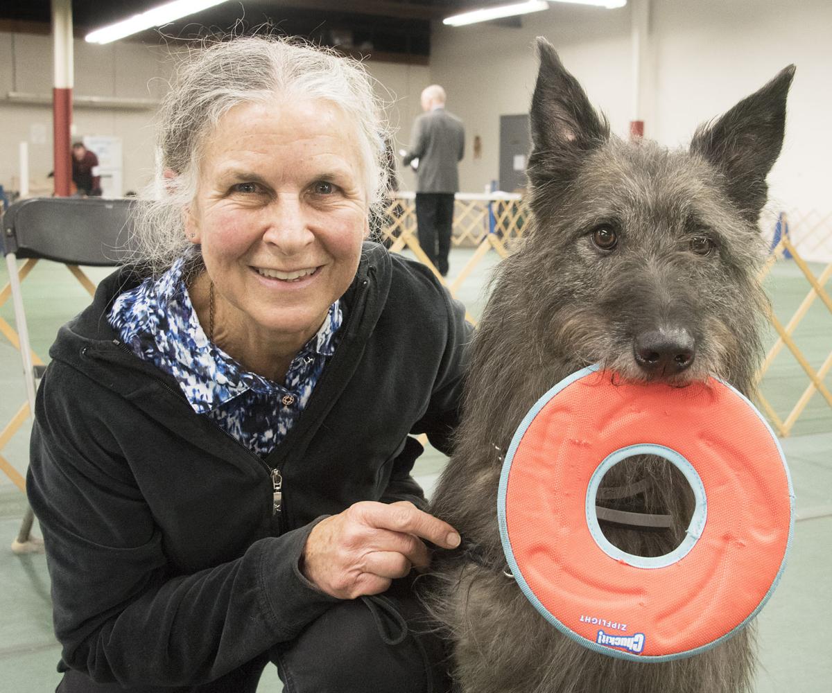 New Brunswick Kennel Club Dog Show New Brunswick Kennel Club Dog Show