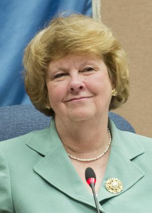 Two former alderwomen to serve as District 3A delegates