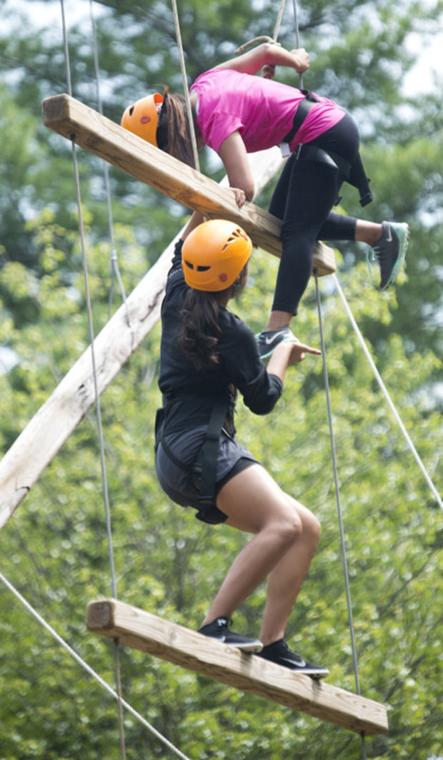 Importance of teamwork in university picture