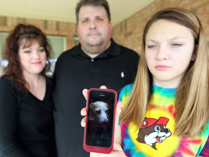 Family dog killed by neighbor's pit bulls