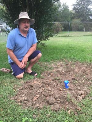 Pet grave