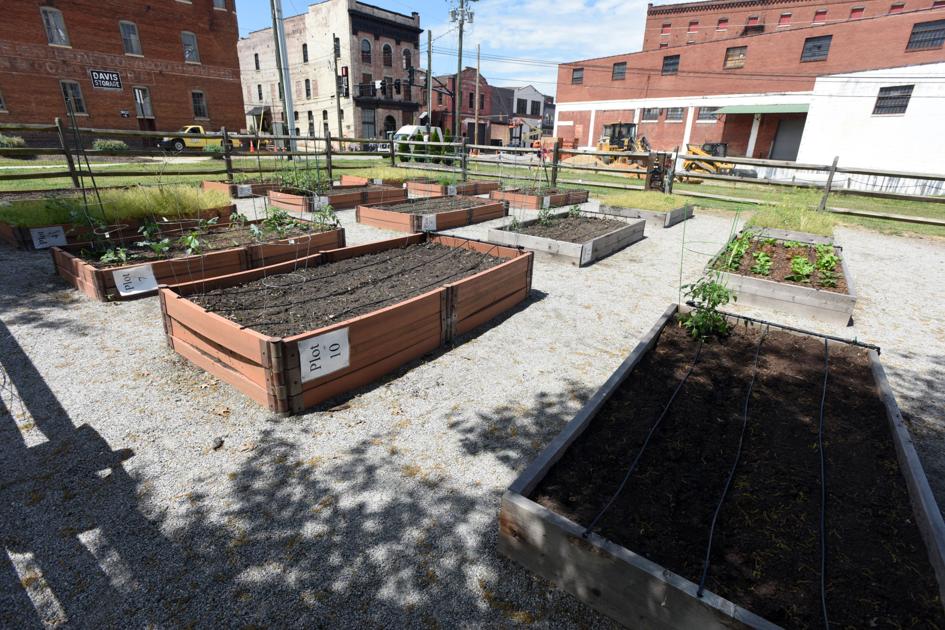 Growing trend: Community gardens part of local food movement - GoDanRiver.com