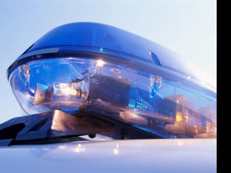 Greensboro police: Toddler in critical condition after dog attack - Greensboro News & Record