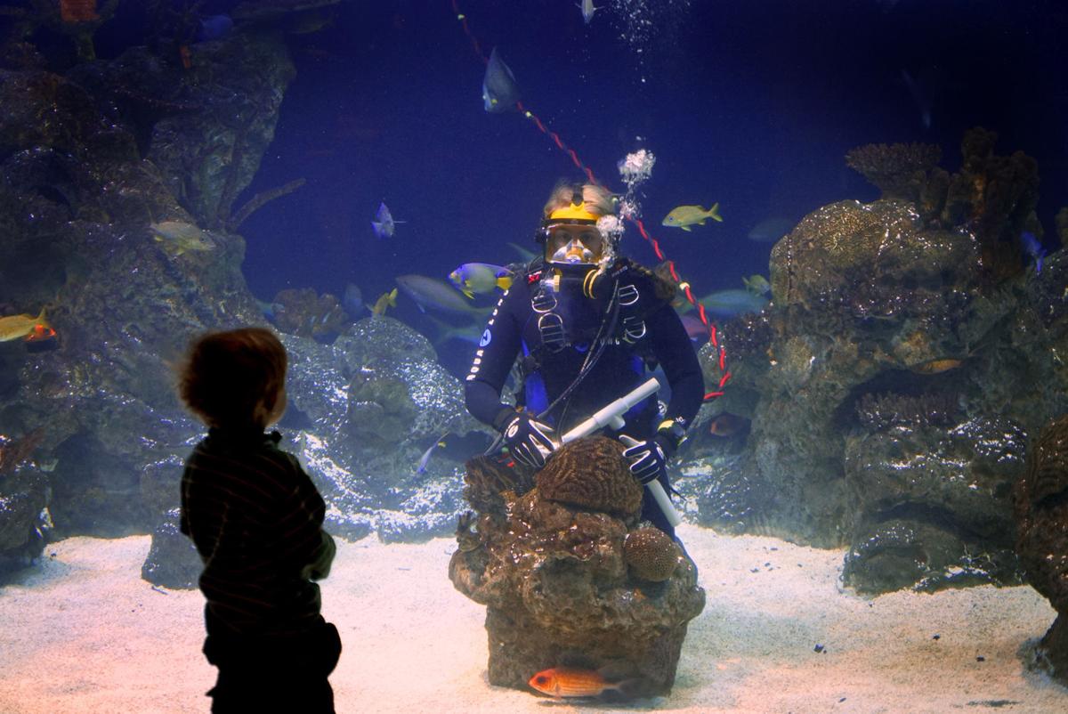 Greensboro Science Center to open aquarium expansion in March GoTriad