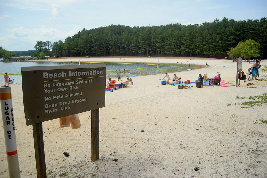 public beaches lanier Lake