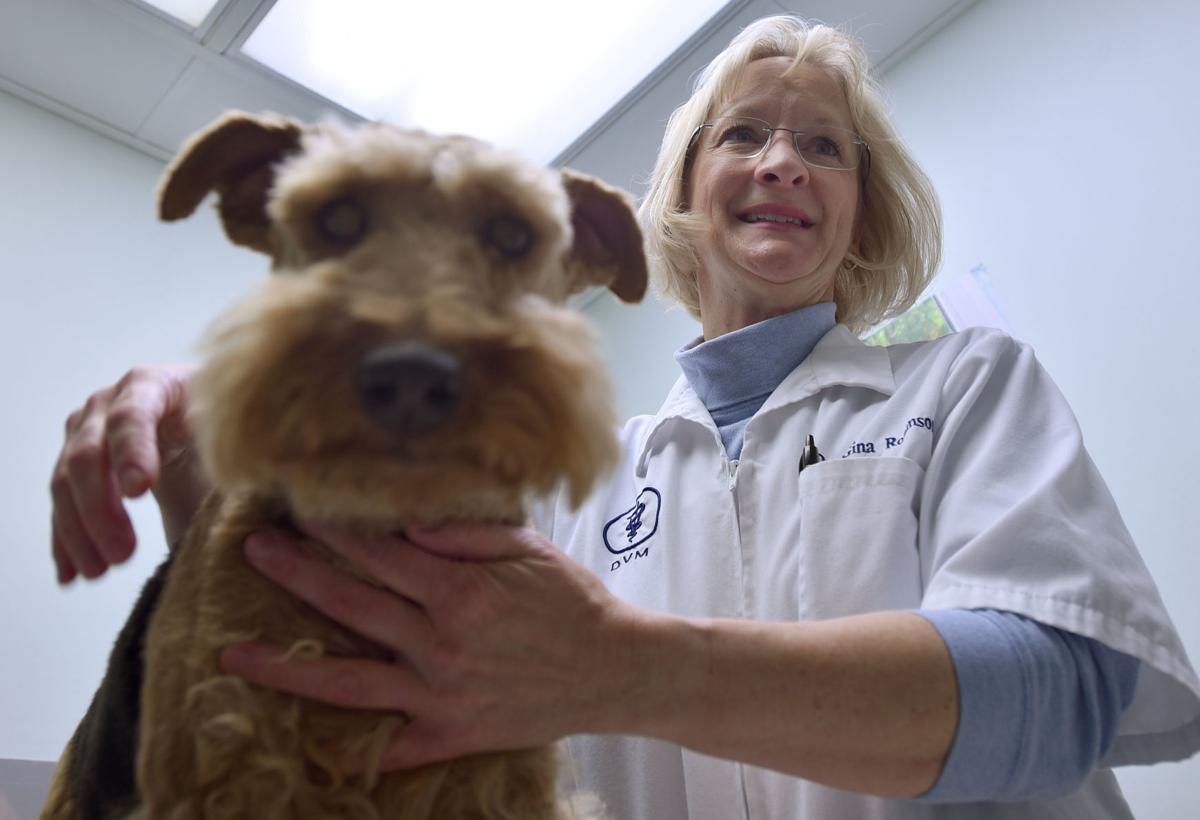 can dogs catch the flu from humans dogs and cats can get the flu but they won t pass it on to you news heraldcourier can dogs catch the flu from humans dogs and cats can get the flu but they won t pass it on to you news heraldcourier