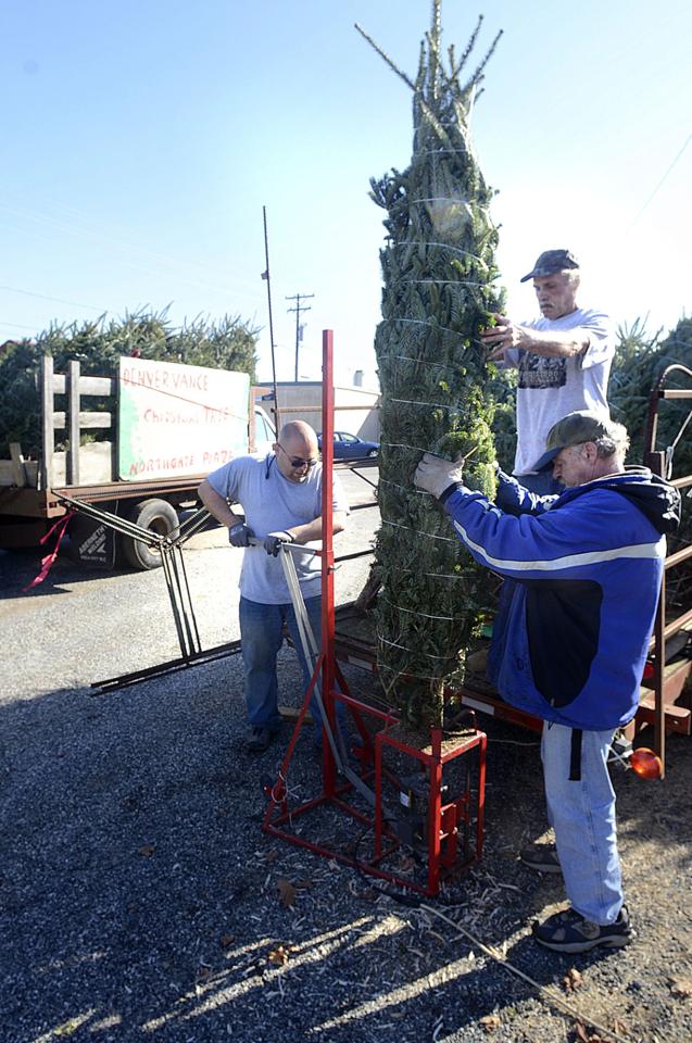 christmas tree time hdr hickory daily record featured christmas tree time hdr hickory daily record featured