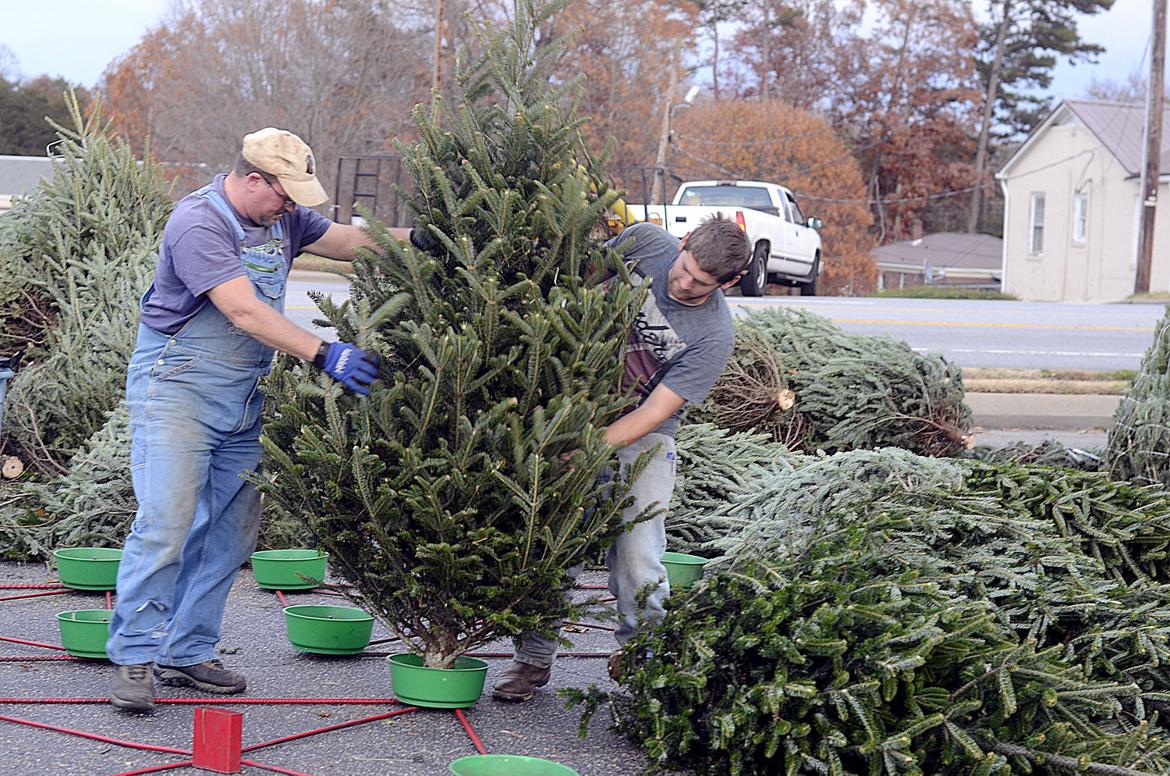 christmas tree time hdr hickory daily record featured christmas tree time hdr hickory daily record featured