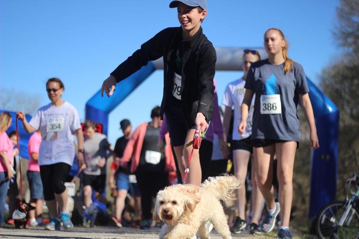 kreitzer s critter corral puppy rescue dogs and runners raise funds in 5k for puppy rescue community independenttribune kreitzer s critter corral puppy rescue dogs and runners raise funds in 5k for puppy rescue community independenttribune
