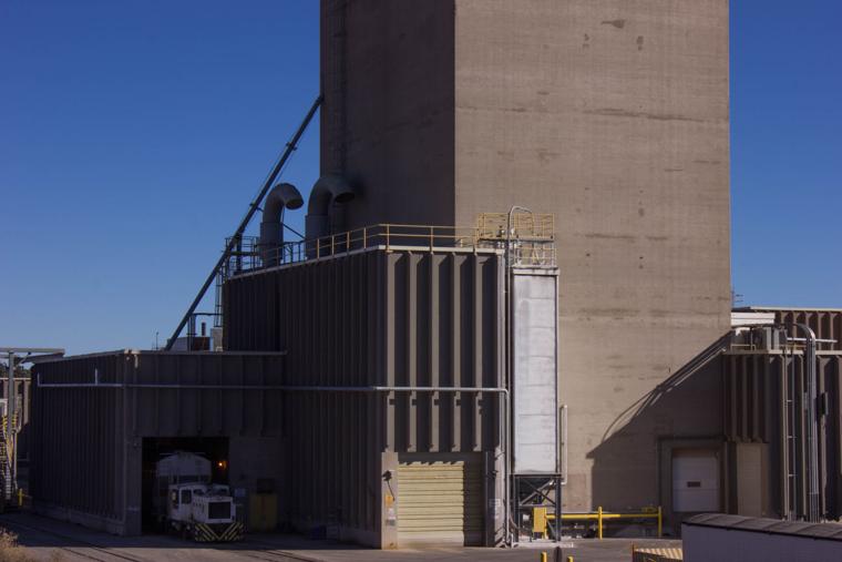 Purina Plant The Lumberjack Gallery