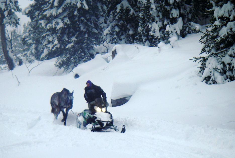 Horse Rescued After 6 Weeks In Deep Snow Atop Togwotee