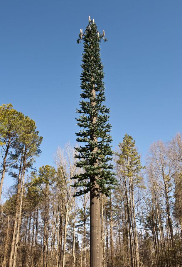 Cell tower disguised as a tree is going up along Peters Creek Parkway