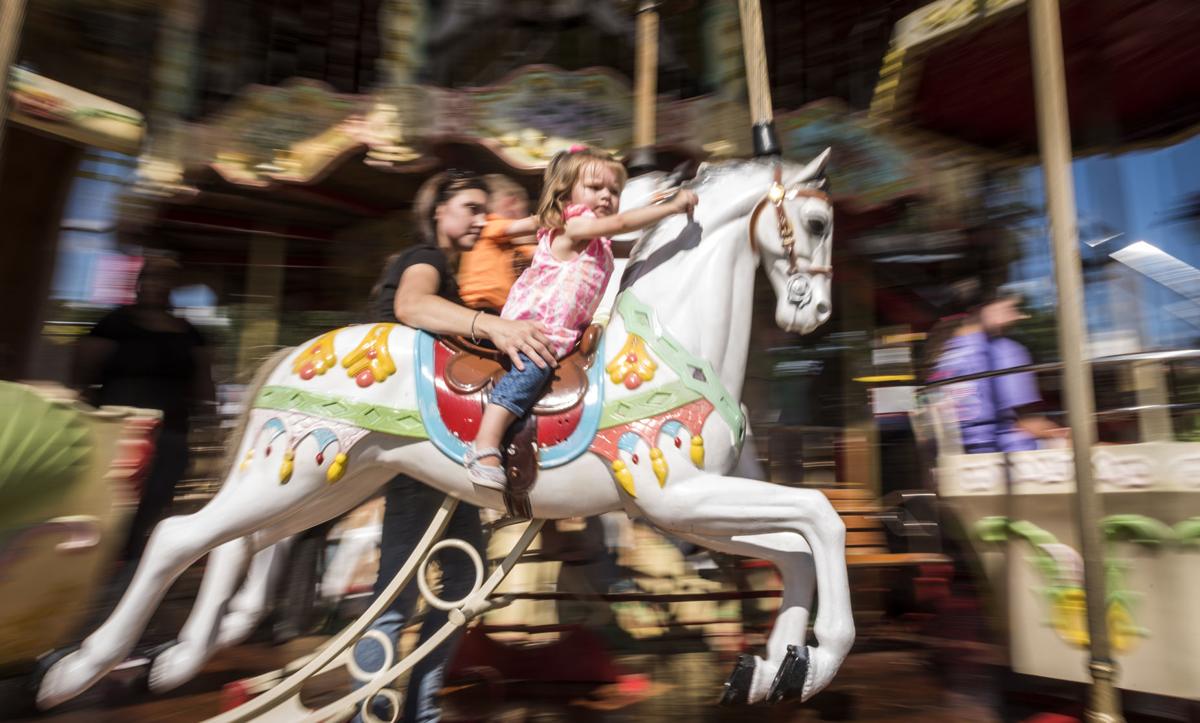 Dixie classic fair 2019 discount coupons