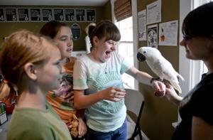 iCan House provides vital social outlet for individuals with autism
