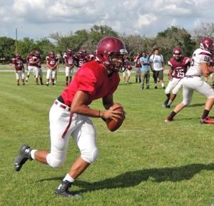 SEARCY ERA BEGINS Kangaroos begin spring with enthusiasm, new head ... SEARCY ERA BEGINS Kangaroos begin spring with enthusiasm, new head ...