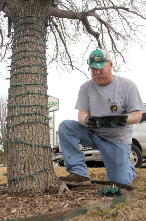 WILD ART - Taking Down Christmas Lights
