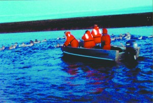 fish5.jpg