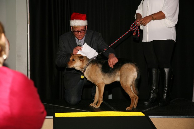 15th Annual Hope for the Holidays Gala