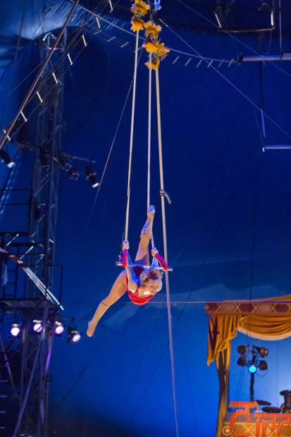 Circus Flora 3