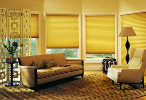 h6-showme_blinds_0113.jpg