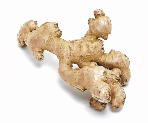 Ginger_0824.jpg