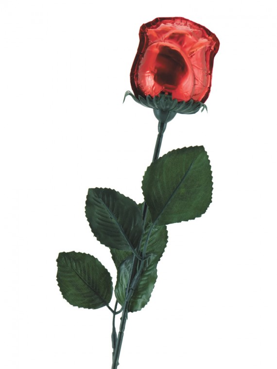 party7_rose_0309.jpg