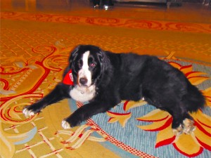 trav-96_1209.jpg