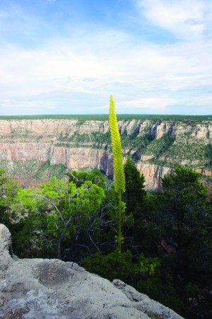 travel8_0819.jpg