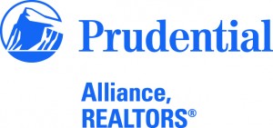 PALL Logo