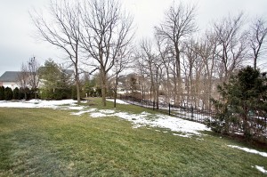 4207 Austin Ridge Drive backyard.jpg