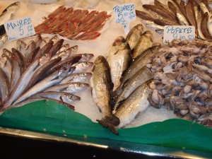 Fish
