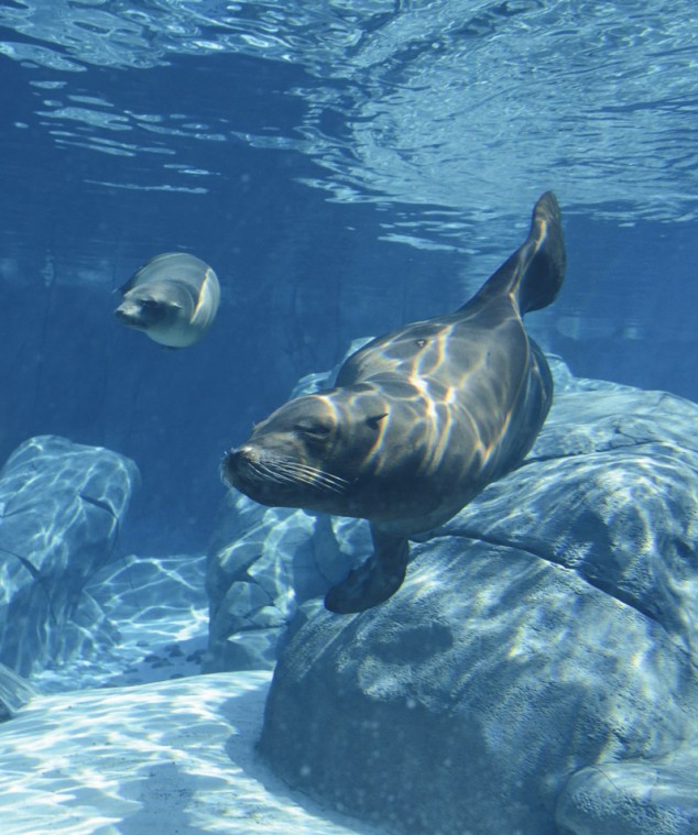 lips-zoo_0706.jpg