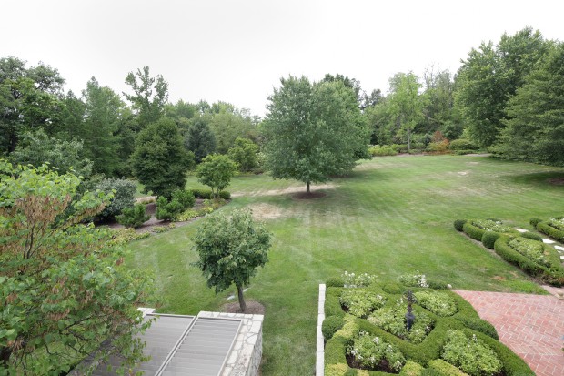 Clermont Lane - 18 - Yard.jpg