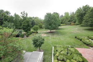 Clermont Lane - 18 - Yard.jpg