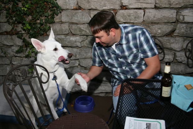 Dogs' Night Out