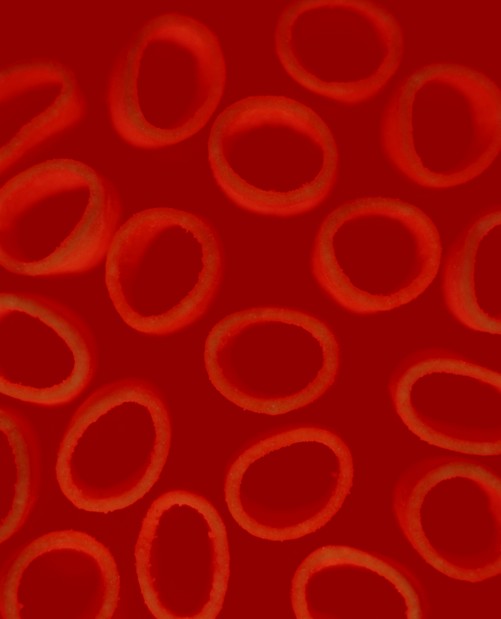 1207_lab-notes9.jpg