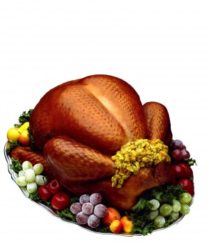 1116-turkey.jpg