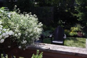 The Garden Tour  