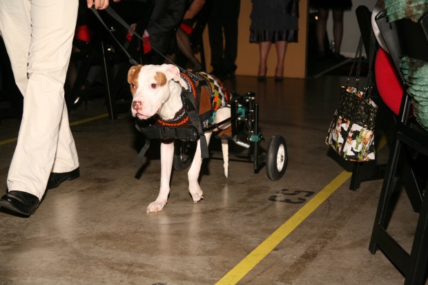 15th Annual Hope for the Holidays Gala