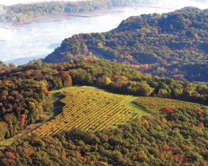 winefeature_0622.jpg